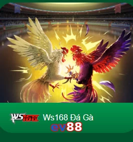 ev88